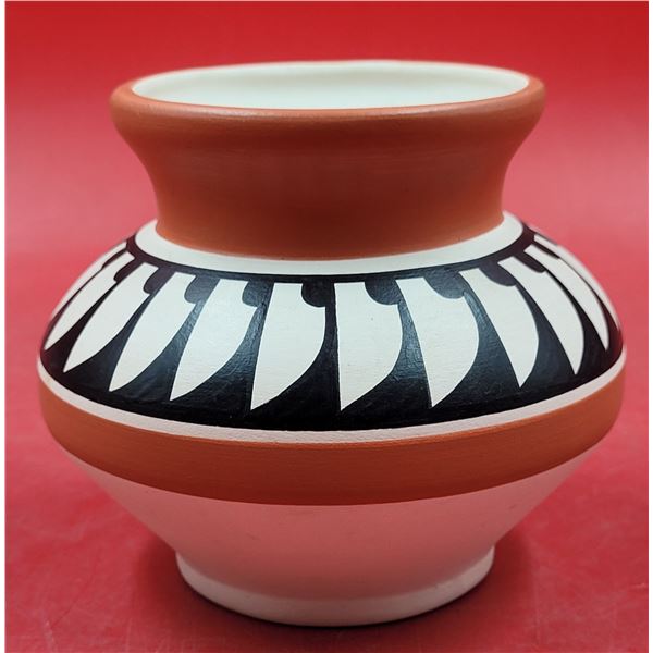 Indigenous Hopi Toad Pottery Vase