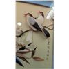 Image 2 : Framed Chinese Feather Diorama