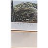 Image 3 : Framed, Signed, & Numbered "Distant Rage" Print by P. Chizik