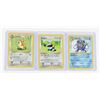 Image 1 : #84 Pokémon Lot 1999 Raticate Porygon Poliwhirl