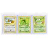 Image 1 : #86 Pokémon Lot 1999 Bulbasaur Caterpie Doduo
