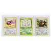 Image 1 : #113 Pokémon Jungle Eevee Exeggcute Tauros