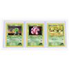 Image 1 : #200 Pokémon Erika's Bellsprout Exeggcute Oddish