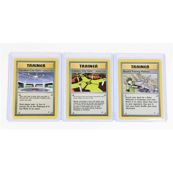 #210 Trainer Brock's Training Method