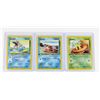 Image 1 : #229 Pokémon Neo Genesis Sunkern Swinub Totodile