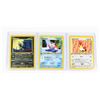 Image 1 : #247 Pokémon Lot Farfetch'd Goldeen Murkrow