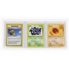 Image 1 : #251 Swinub Zubat Trainer Ballon Berry Tool
