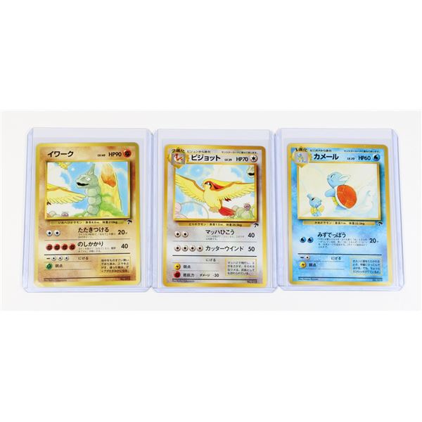 #265 Japanese Southern Island Wartortle 8  Pidgeot
