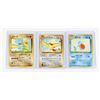 Image 1 : #265 Japanese Southern Island Wartortle 8  Pidgeot