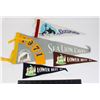 Image 1 : LOT OF 4 PENNANTS SEA LION CAVES (1971), SEA WORLD