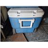 Image 4 : Coleman & Igloo Coolers C