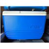 Image 4 : Coleman & Igloo Coolers C