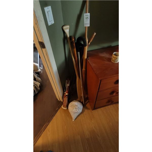 Walking Sticks A
