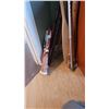 Image 2 : Walking Sticks A