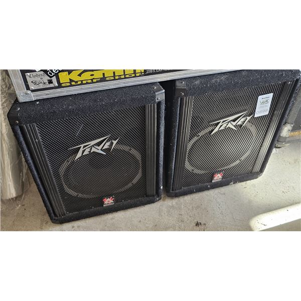 Peavey Stage Speakers C