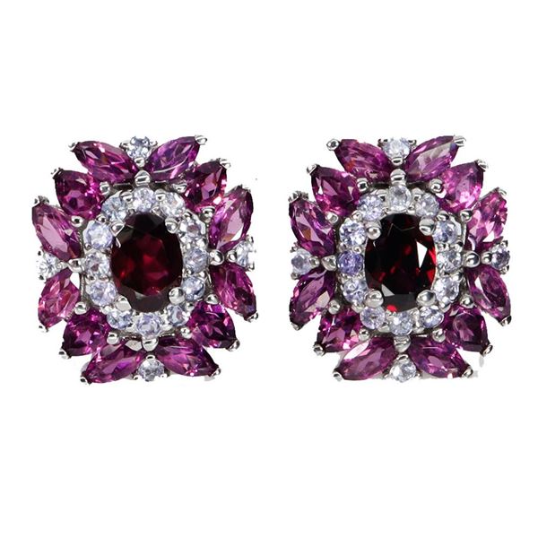 Natural Garnet & Tanzanite Earrings