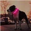 Image 5 : 2 Masbrill LED Light-Up Dog Collars - Rechargeable/Rainproof Super-Bright Design (Size S - Pink) New