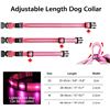 Image 8 : 2 Masbrill LED Light-Up Dog Collars - Rechargeable/Rainproof Super-Bright Design (Size S - Pink) New