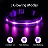 Image 6 : 2 Masbrill LED Light-Up Dog Collars; Rechargeable/Rainproof Super-Bright Design (Size S, Purple) New