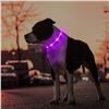 Image 9 : 2 Masbrill LED Light-Up Dog Collars; Rechargeable/Rainproof Super-Bright Design (Size S, Purple) New