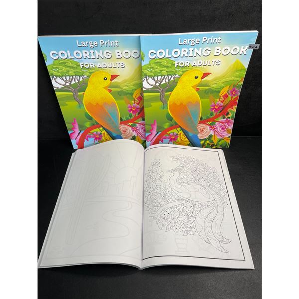 3 Large Print Adult Coloring Books - Various Detailed Designs - Brand New!