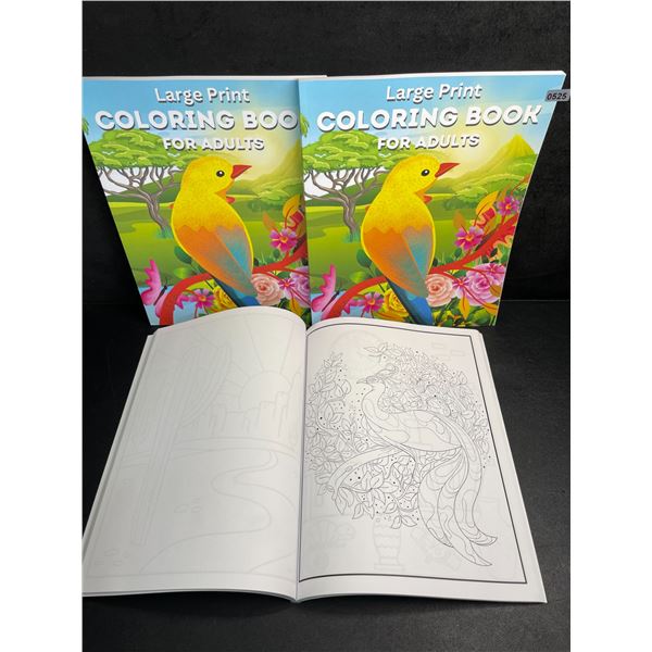 3 Large Print Adult Coloring Books - Various Detailed Designs - Brand New!
