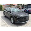 Image 2 : JEEP  CHEROKEE 2019 T-REPO-SMOG-2 DAYS