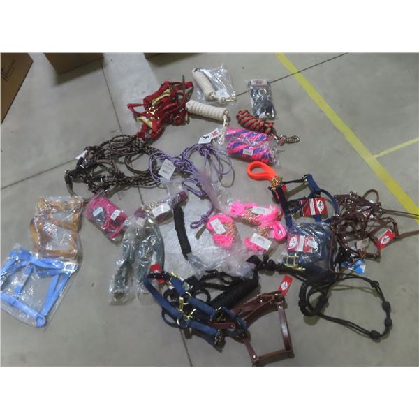 New Equine Halter and Lead Lot – Various Styles, Sizes and Colours