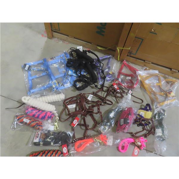 New Equine Halter and Lead Lot – Various Styles, Sizes and Colours