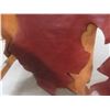 Image 2 : Upholstery Leather 30 Sq ft
