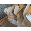 Image 1 : Saddle Tree, Flex/Wood Barrel Style – Qty 5