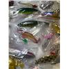 Image 4 : 24 Fishing Lures
