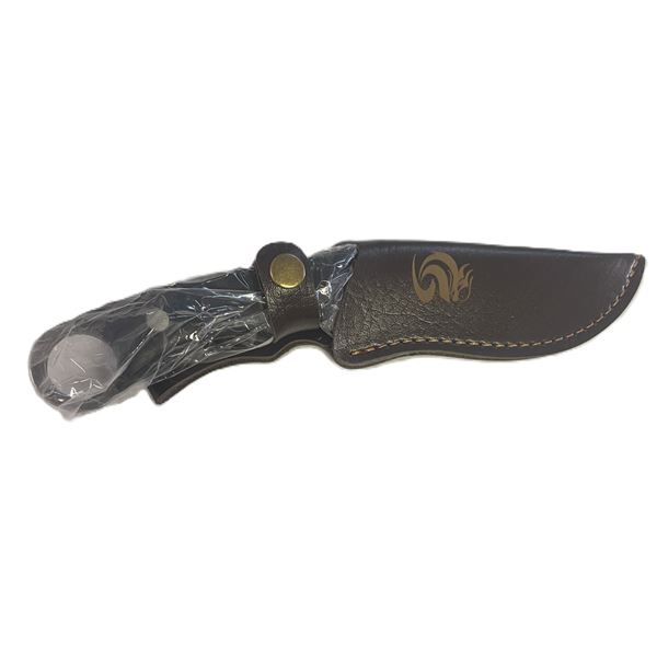 Knife in Sheath