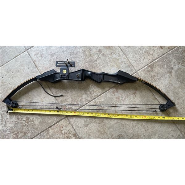 Precision Shooting Equipment (PSE) Scamp youth compound bow , 24-inch draw length and a 30-pound