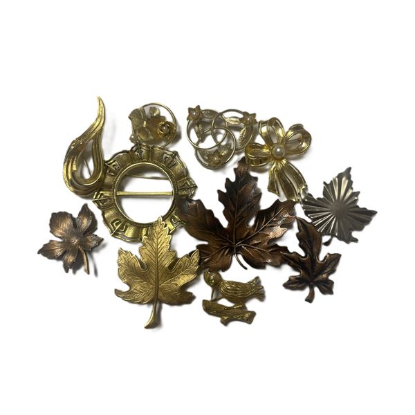 Collection of Metal Brooches