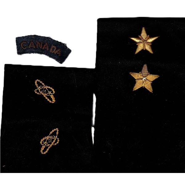 Goldwork Patches , Bullion Patch