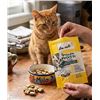 Image 1 : Ten Cats Pillow Pockets Cat Treats 6x85g