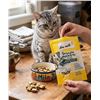 Image 1 : Ten Cats Pillow Pockets Cat Treats 6-Pack