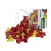 Image 1 : Ideal WingTwist Wire Connectors, 150 Pack