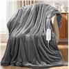Image 1 : PKBD Electric Flannel Blanket 152x127cm