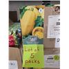 Image 2 : Spaghetti  Squash Vegetable Seeds – 5 Packs of Mr. Fothergill’s