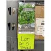 Image 2 : Microgreens Gourmet Garnish Seeds – 5 Packs of Mr. Fothergill’s
