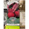 Image 3 : Boltardy Beet  Seeds – 5 Packs of Mr. Fothergill’s