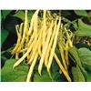 Image 1 : Golden Wax Bush Bean Seeds – 5 Packs of Mr. Fothergill’s