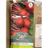Image 3 : Betterave Detroit 2 Crimson Globe Beets Seeds – 5 Packs of Mr. Fothergill’s