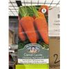 Image 3 : Chantenay Red Cored 2 Carrot Seeds – 5 Packs of Mr. Fothergill’s
