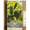 Image 3 : Jalapeno Pepper Seeds – 5 Packs of Mr. Fothergill’s