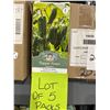 Image 2 : Jalapeno Pepper Seeds – 5 Packs of Mr. Fothergill’s