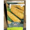 Image 3 : Corn (Sweet) Ambrosia F1 – – 5 Packs of Mr. Fothergill’s