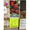 Image 2 : Crosby’s Egyptian Beet Seeds – 5 Packs of Mr. Fothergill’s